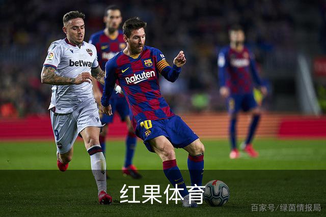 红果体育公司简介